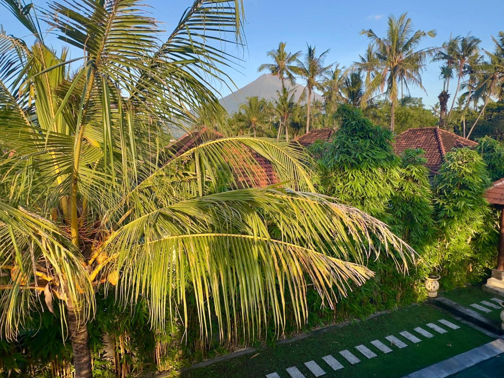 Villa Light - อาเม็ด ภายนอก รูปภาพ